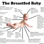 Breastfeeding Is ‘Health, Not Lifestyle’ Choice