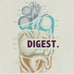 Chiropractic and Digestion