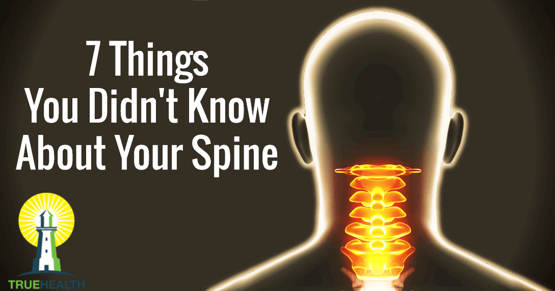 7 Things You Didn't Know About Your Spine