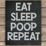 Eat. Sleep. Poop. Repeat.