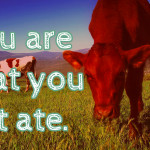 You Are What You Eat Ate